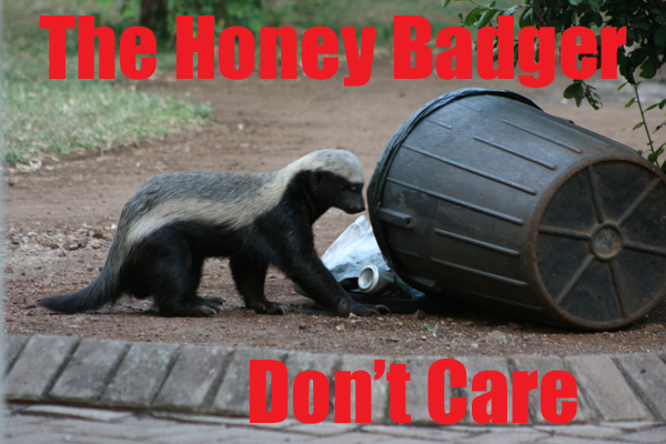 honey badger. This makes the honey badger a